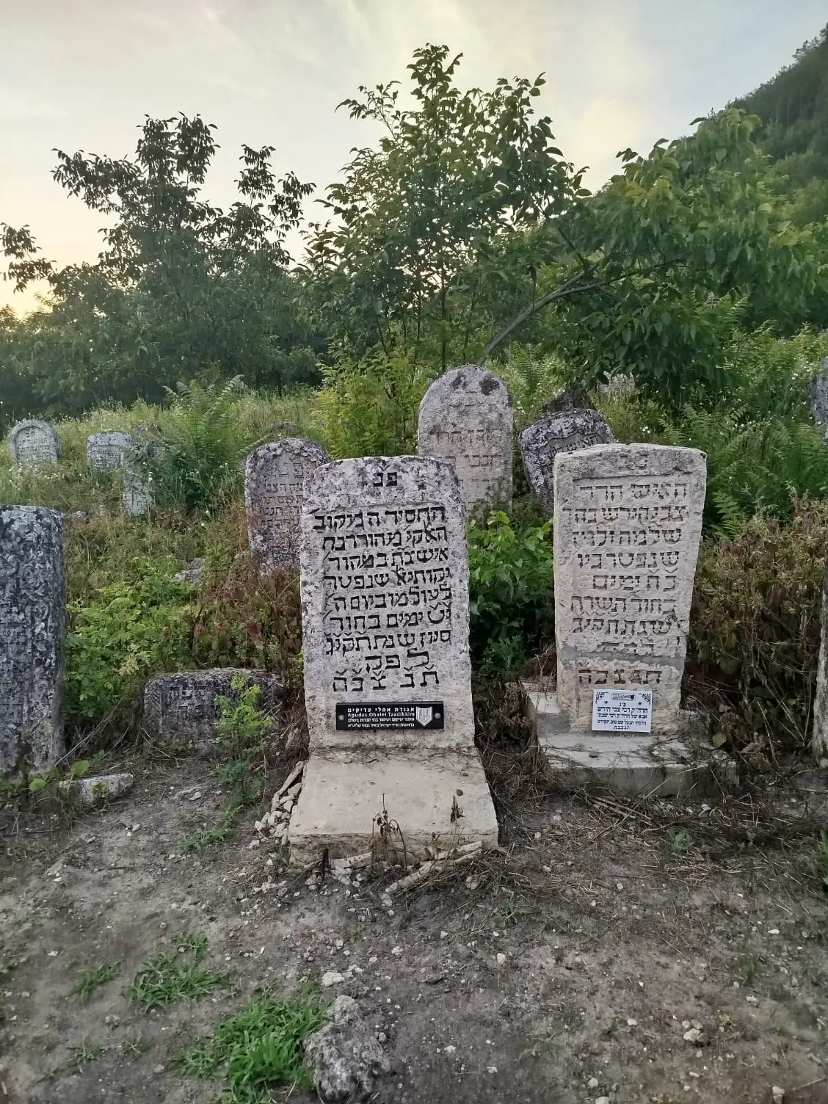 ר' שבתי ב"ר צבי הירש מראשקוב